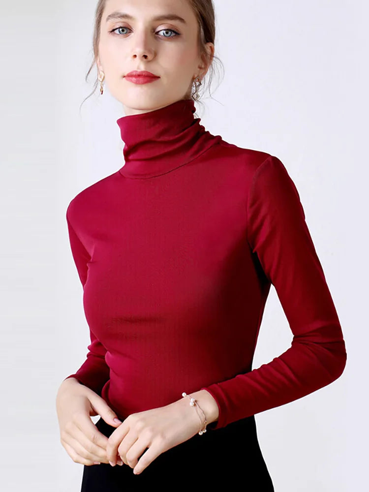 Long Sleeve Turtleneck Blouse