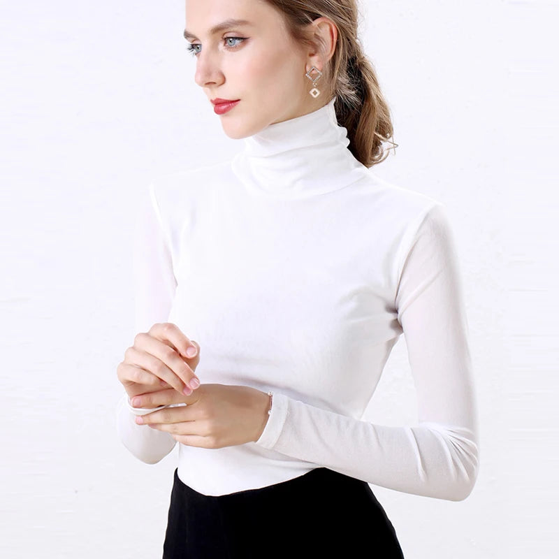 Long Sleeve Turtleneck Blouse