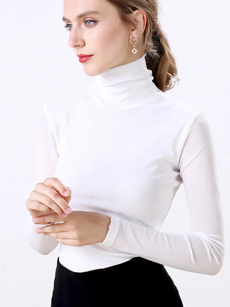 Long Sleeve Turtleneck Blouse